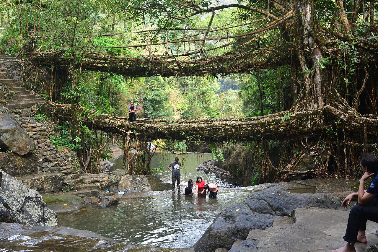 Double decker living root bridge 02