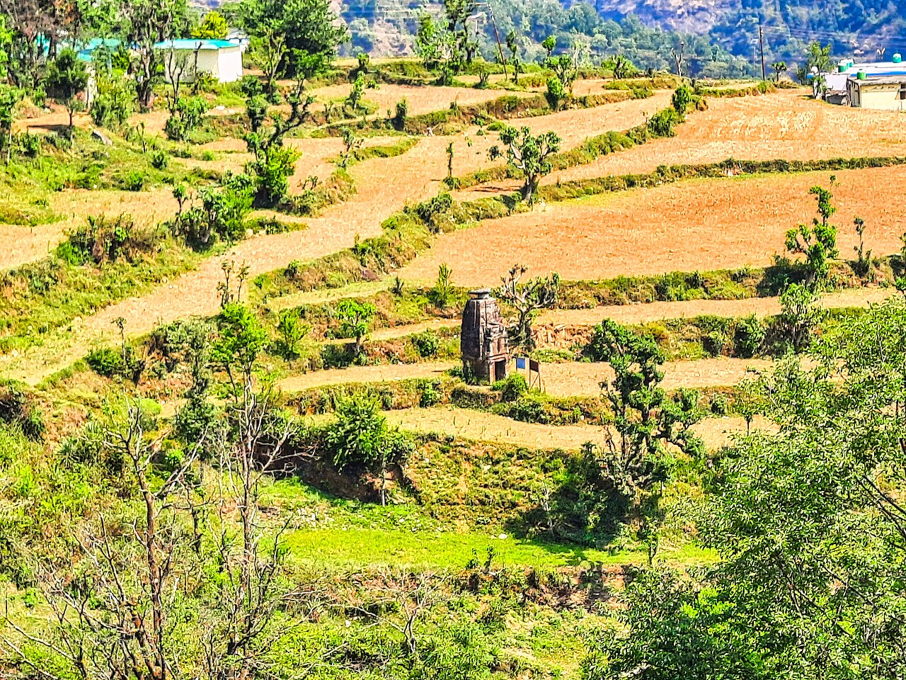 A distant view of Damyanti Temple, Hyun Uttarakhand