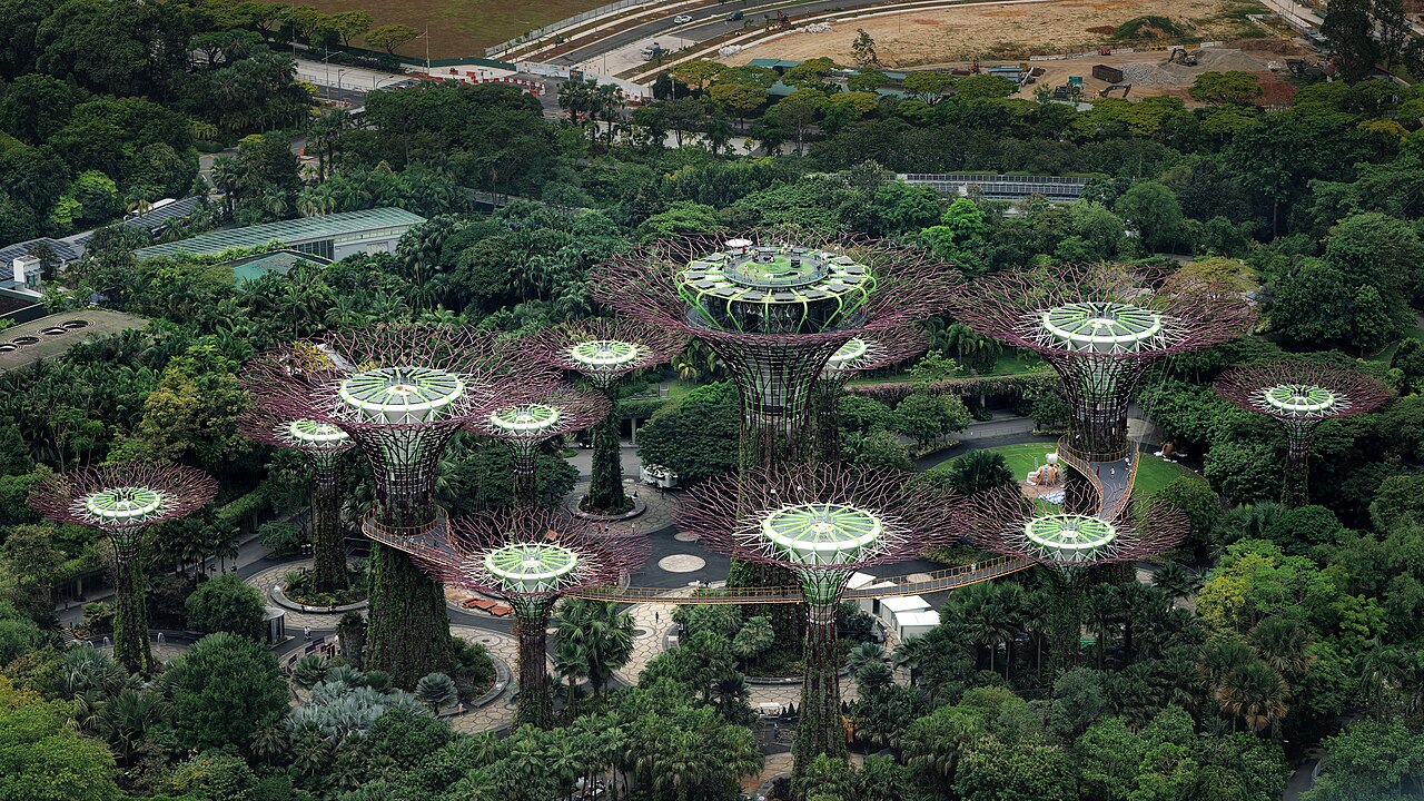 Supertree Grove, Gardens by the Bay, Singapore1