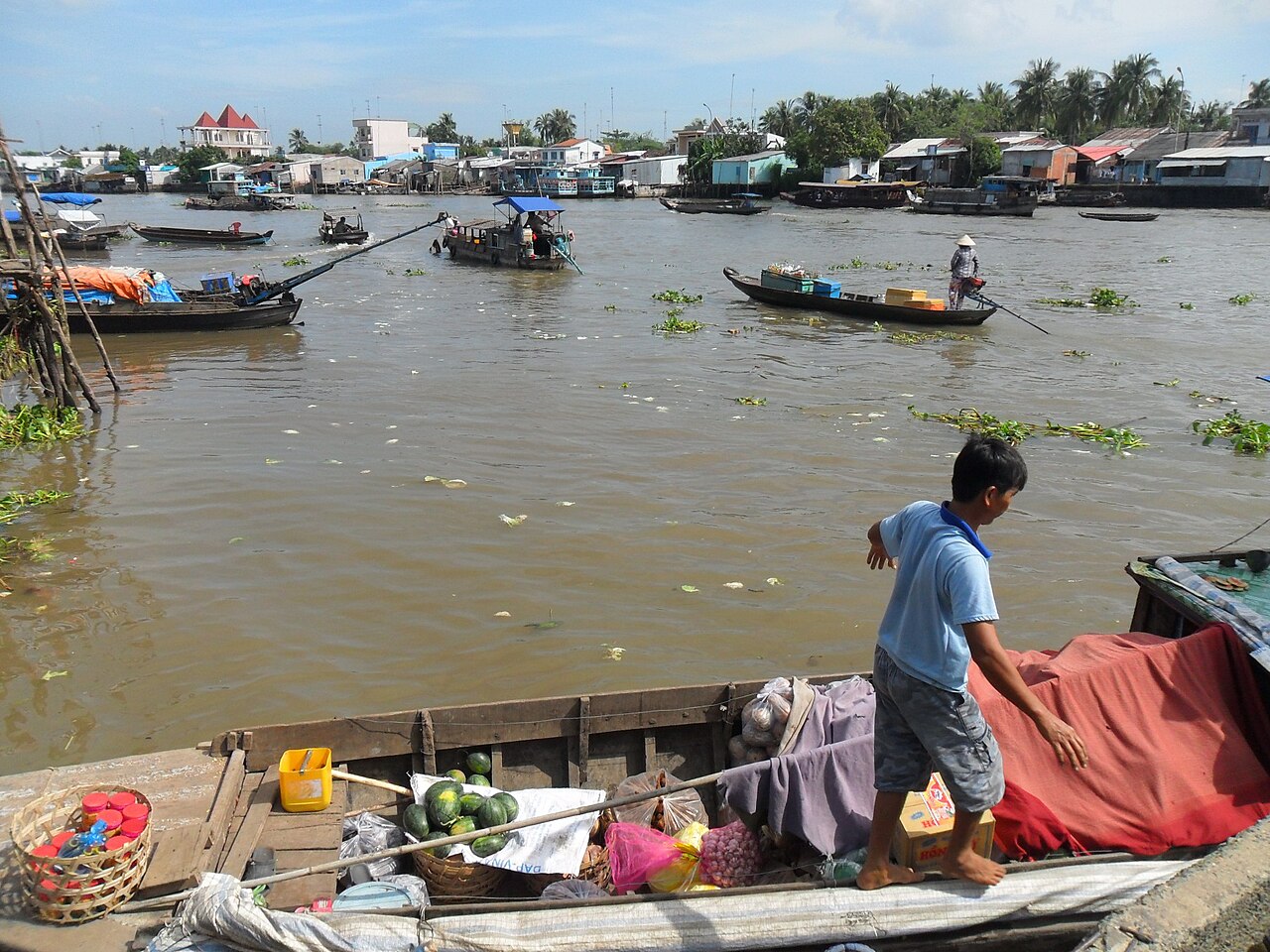 Mekong delta..