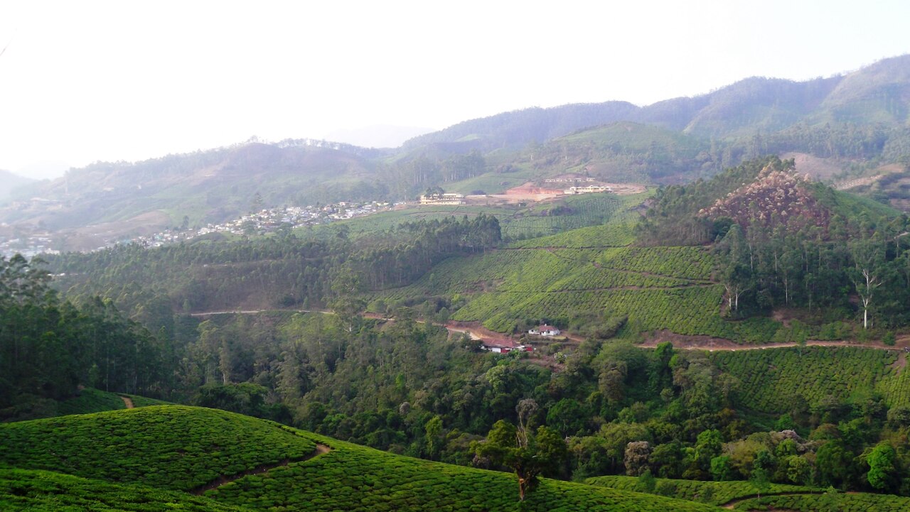 Munnar Hills - panoramio (7)